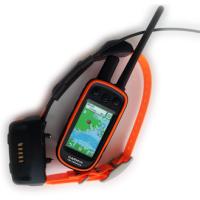 Система слежения за собаками Garmin Alpha 300, комплект с ошейником ТТ25 EU (Европа)
