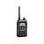 Безлицензионная цифровая WLAN радиостанция Icom IP100H