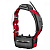 Ошейник Garmin TТ25 RUS (Россия) с GPS-датчиком